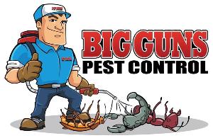 Фумигация в Орле Pest CONTROL.jpg